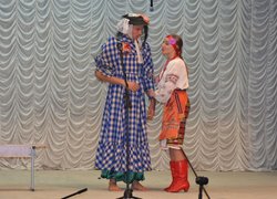 Народний самодіяльний СТЕМ «Добродії» (художній керівник Галина Бруй)